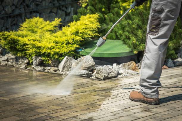 Best Spring Cleaning  in Norwood, PA